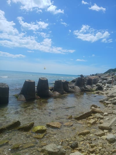 The image shows a coastal scene at Osenovo, Bulgaria. The foreground is a rocky beach with clear, shallow water lapping at the shore. Scattered amongst the rocks are some man-made concrete structures, likely breakwaters or defensive sea walls, some partially submerged. Further out, the sea is a tranquil blue with small waves. In the distance, along the coastline, are more rocks and vegetation, and a hilly landscape. The sky is a bright blue with scattered white clouds. In the middle ground, a white butterfly is captured in mid-flight over the water. On the far right of the image, a person, appearing to be a young female in swimwear, stands on the rocky shore.