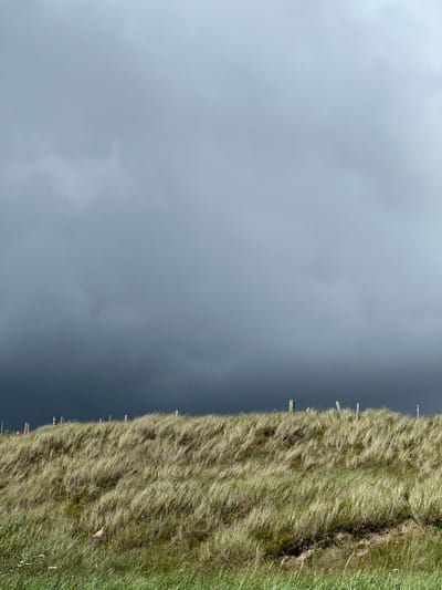 This is a vertical, full-frame photograph taken from a high angle, looking down onto a landscape. The image is split diagonally, with the left two-thirds dominated by a gradient of grey sky, transitioning from a lighter, overcast tone on the upper left to a darker, more intense grey towards the right. The right third of the image features a grassy hillside, densely covered in dry, straw-colored grass with streaks of green and brown. Several weathered wooden posts, remnants of a fence, are visible marching up the slope from the bottom left towards the top right. A small, brown bird is perched on the grass in the middle right of the frame. The overall impression is one of a wild, windswept natural landscape under a dramatic sky. The time of day is likely overcast, with no strong shadows indicating direct sunlight. The location context suggests this is a rural scene in Ireland. No text is visible in the image.