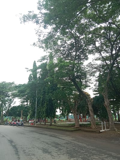 A wet asphalt road stretches into the distance alongside a park. Lush trees tower over the park, casting shadows on the benches and picnic tables. Red and white painted posts line the park's edge. Several parked motorcycles are visible near the road. The sky appears overcast, contributing to the somewhat muted tones of the scene.