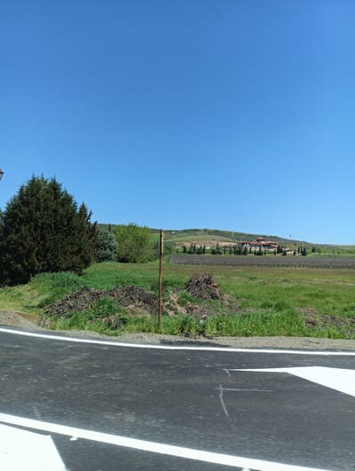 This outdoor photograph captures a scenic rural landscape near Venets, Bulgaria, under a clear, bright blue sky. In the immediate foreground, a dark asphalt road with crisp white markings, including a solid line on the left and an arrow-like marking on the right, curves slightly. The road appears to be taken from a moving vehicle.
Adjacent to the road, a grassy shoulder transitions into a patch of earth with piles of dry branches and brush. To the left, a dense cluster of dark green coniferous trees stands prominently. Further into the mid-ground, more varied green foliage, including smaller trees and bushes, is visible, along with a thin, rusty metal pole.
The background unfolds into an agricultural scene dominated by a vineyard, its neat rows of dormant or young grapevines stretching across the terrain. Behind the vineyard, a substantial building with a distinctive terracotta-tiled roof and light-colored walls is nestled amidst more trees, some of which are tall and slender cypresses. This structure suggests a winery, estate, or guesthouse. Beyond the building, gently rolling green hills rise, dotted with scattered trees, forming the distant horizon.
The sky is a vibrant, cloudless blue, indicating clear and sunny weather, likely mid-morning or early afternoon. A faint white contrail from an aircraft is visible in the upper right, and a tiny dark speck, possibly a bird, can be seen higher up. No people or visible text are present in the image. The scene conveys a sense of tranquility and agricultural prosperity in the Bulgarian countryside.