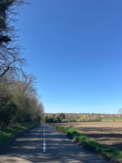 This image displays a rural landscape in Upper Upnor, United Kingdom, under a clear, cloudless blue sky. A single-lane asphalt road, marked with a dashed white center line, extends from the foreground into the background, curving slightly to the left. On the left side of the road, a dense boundary of trees and shrubs exhibits a mix of bare branches and light green early-spring foliage. A white triangular road sign is partially obscured within this vegetation approximately midway down the visible road section. The right side of the road features a narrow strip of green grass verge, transitioning into a large, ploughed brown field. In the far distance, beyond the field and a band of trees, a cluster of residential structures with reddish roofs is discernible. The scene is brightly illuminated by direct sunlight, casting shadows from the roadside trees onto the asphalt. No individuals, vehicles, or animals are present.