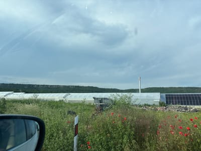 The image displays an overcast agricultural and natural landscape near Tsarkva, Bulgaria, viewed from a vehicle. In the lower-left foreground, a white car's side mirror partially obstructs the view. The immediate foreground features a dense, overgrown field with tall green grasses, various wildflowers, and numerous scattered red poppies. A white and red reflective road marker is positioned vertically in the lower-center. Partially hidden within the dense vegetation are elements of discarded agricultural machinery, including a rusty, harrow-like implement, and dark, possibly tarp-covered objects, alongside piles of construction debris comprising wood and tiles. The midground is dominated by a long series of white, semi-circular tunnel greenhouses. To the far right of the greenhouses, a structure fitted with dark solar panels is present, adjacent to a tall, slender, silver-colored industrial chimney. The background consists of a continuous, dark green, forested ridge or low mountain range, situated beneath a light grey, heavily clouded sky that exhibits faint internal reflections from the viewing window. No individuals or active subjects are visible.