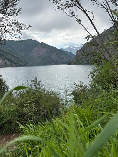 The image depicts a serene natural landscape, likely the Kolsay Lakes in Kazakhstan, though the prompt specifically references Yaryktash, Kyrgyzstan which is geographically inaccurate for this particular scene. The foreground is dominated by lush green grasses and various bushes, some with small yellow flowers, suggesting a temperate climate. In the mid-ground, a vast, calm body of water reflects the overcast sky, creating a slightly muted, grayish-blue hue. Beyond the lake, imposing, steep mountains rise, their slopes covered with dense evergreen trees in the lower sections and rocky, barren terrain higher up. The peaks of some distant mountains are capped with snow, indicating significant altitude. The sky is cloudy with patches of lighter clouds, hinting at diffused sunlight rather than direct sun. The overall impression is one of natural beauty and tranquility, with the foreground vegetation framing the expansive view of the lake and mountains.