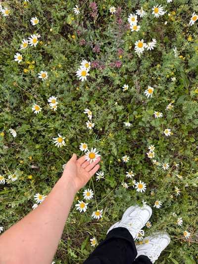 The image is an overhead shot of a hand reaching into a field of daisies. The hand, with a ring on one finger, is lightly touching a daisy in the center of the frame. The field is densely covered with green foliage and numerous white daisies with yellow centers, interspersed with small yellow wildflowers. Two white athletic shoes are visible in the upper right corner, suggesting a person is standing or kneeling in the field. The overall impression is of a pleasant, natural setting, possibly a meadow or park, bathed in natural light. The scene evokes a feeling of peaceful engagement with nature. There is no visible text in the image. The location context is Kendektamak, Russia.