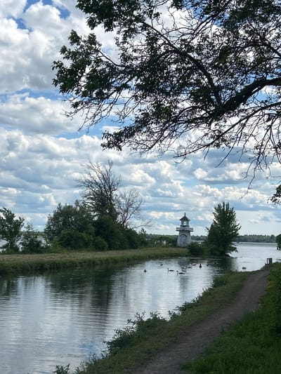 This is a vertical, eye-level, outdoor photograph taken in the city of South Dundas, Canada. The image depicts a body of water, possibly a canal or river, reflecting the cloudy sky above. On the left side of the water, there is a lush green bank lined with trees. Several geese are swimming in the water. In the middle ground, a white lighthouse with a black roof stands on a small island, surrounded by trees. On the right side of the water, a dirt path runs along the grassy bank. The foreground is dominated by the dark branches of a large tree, partially obscuring the view of the sky and the rest of the scene. The sky is filled with dramatic, white, cumulus clouds against a blue background.