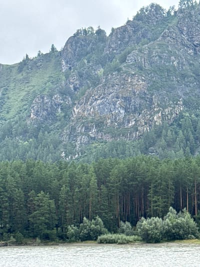 This is a photograph of a mountainous landscape with a river in the foreground, taken in Nizhnekayancha, Russia. The river's surface is rippled, suggesting movement. Along the riverbank, a dense forest of evergreen trees dominates the middle ground. Beyond the forest, the mountains rise steeply, their rocky faces partially covered by vegetation. The sky above is overcast, creating a diffused light across the scene. There are no people or man-made structures visible in the image.