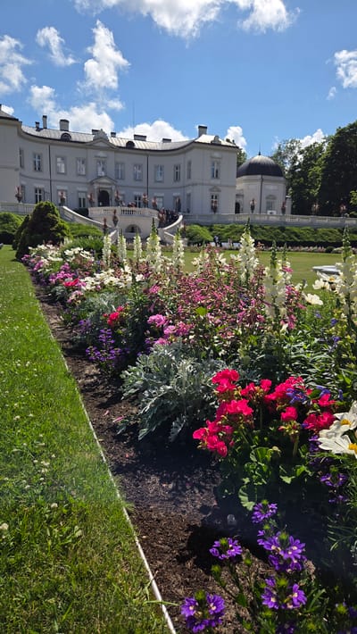 This is a vertical, eye-level shot of the Palanga Amber Museum and its manicured flower gardens on a sunny day. In the background, a large, light-colored, stately building with multiple windows and a dark domed annex stands under a bright blue sky with white, puffy clouds. A wide, white, ornate staircase with balustrades leads up to the building, and several people in dark clothing are visible on the staircase and the terrace in front of the building.

In the foreground, a vibrant flower bed runs horizontally across the bottom of the frame. It is densely packed with a variety of flowers in shades of pink, white, deep red, and purple, interspersed with silvery-grey foliage plants. The flowers are in full bloom and create a colorful border along a dark soil path. To the left of the flower bed is a well-maintained, bright green lawn with scattered white clover flowers. The scene is bathed in bright sunlight, casting shadows on the grass and soil.