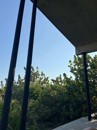The image shows a view from a covered porch with two thick black support beams in the foreground. The beams are situated against a background of green foliage and a light blue sky. The foliage appears to be dense and lush, suggesting a tropical or subtropical climate. The concrete structure is a part of a building located in San Isidro Llano Grande, Mexico, at the coordinates 15.939, -97.279. The porch is shaded from the sun, creating a cool and inviting space. No people are present in the image.