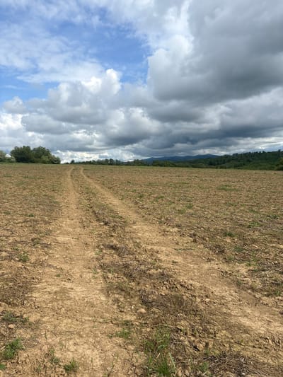 The image presents a dirt field in the vicinity of Antonovo, Bulgaria. The ground appears dry and furrowed, with sporadic growth of sparse grass. A faint dirt track traverses the field. In the distance, a line of trees and a suggestion of hills are visible. The sky is overcast with a mix of dark, heavy clouds and patches of blue sky. The lighting is relatively even. There are no people or animals visible. No interaction is taking place.