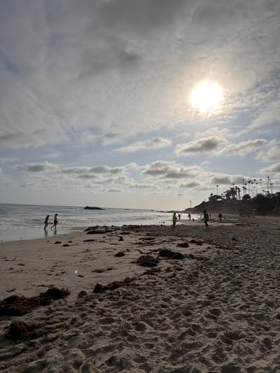 This is a full shot of a beach in Laguna Beach, California, USA. The sun is high in the sky, partially obscured by clouds, casting a bright light on the scene. The sand is light brown and appears dry, with some patches of seaweed scattered across it. In the distance, the ocean waves gently break on the shore. Several people are visible on the beach, some walking along the water's edge and others further up on the sand. A rocky outcropping is visible in the ocean, and a line of palm trees and homes can be seen on the bluff overlooking the beach. The overall impression is a pleasant, sunny day at the beach.