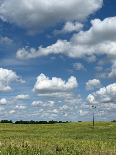 The image depicts a rural landscape with a bright blue sky filled with fluffy white and gray clouds. A single wooden utility pole stands vertically in the center of the frame, with wires extending from it horizontally across the sky. To the right of the pole, a vast, green field stretches into the distance, bordered by a dense line of dark green trees along the horizon. The field appears to be a meadow or pasture, with various types of grasses and wildflowers visible. The lighting suggests it is daytime, likely late morning or afternoon, with the sun casting soft shadows. The overall mood is serene and peaceful, characteristic of a summer day in the Polish countryside. There is no visible text in the image.