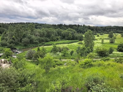 The image depicts a panoramic view of a lush green landscape, characterized by dense forests and expansive meadows dotted with wildflowers. In the foreground, a wooden staircase leads down into the verdant terrain, hinting at a scenic viewpoint. To the left, a small river winds its way through the scene, bordered by trees and vegetation. A notable feature on the riverbank is a water wheel, suggesting a historical or functional element within the natural setting. The sky above is overcast with dramatic, heavy clouds, casting a diffused light over the landscape. The overall impression is one of a tranquil, natural environment, possibly a park or a nature reserve. The location is specified as Leshkovo, Russia.