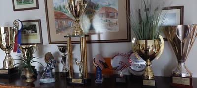 The image displays a collection of trophies and equestrian-themed awards displayed on a dark wooden surface, possibly a dresser or shelf, against a light-colored wall. In the background, framed artwork depicting rural scenes with buildings and a horse are visible.

The trophies vary in size and material, with many appearing to be gold or silver. Notable items include a large two-handled gold trophy holding a green plant, a tall tiered trophy with gold columns, a smaller silver trophy with a scalloped rim, and various other cup-shaped and plaque-style awards. Several awards are inscribed with text, some of which are partially visible and appear to be in Lithuanian. For example, one plaque at the base of a tall trophy reads "ČEMPIONAS". Other visible inscriptions include "1 Miejsce", "Grand Prix", and "2022".

There are also several decorative equestrian items, including a silver sculpture of a horse and rider, and stylized horse head cutouts. One prominent award features a horse silhouette with a feather design.

The overall impression is one of achievement and celebration, likely related to equestrian events. The presence of Lithuanian text on some awards suggests the location is within Lithuania. While the specific city of Ziniūnai is mentioned, there are no visual cues within the image itself that definitively confirm this precise location; however, the presence of Lithuanian language is consistent with the specified location. There are no people visible in the image. The lighting suggests an indoor environment, possibly a home or a dedicated display area.