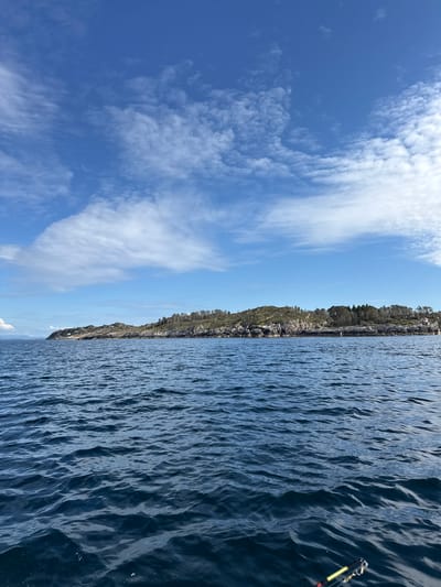 This is a vertical, outdoor, daytime photograph taken from a boat on the water. The scene is divided by the horizon. On the left, a bright blue sky with scattered white clouds stretches upwards. On the right, a dark blue, rippling body of water dominates the lower half of the frame.
The right side of the image shows a rocky coastline covered in sparse green vegetation and trees, extending along the horizon. A fishing rod, with a yellow and black tip, is visible in the far right corner of the image, extending out over the water. The choppy texture of the water suggests a gentle breeze or movement of the boat. The overall mood is peaceful and serene, indicative of a pleasant day outdoors. No text is visible in the image. The location is Hellesøy, Norway.