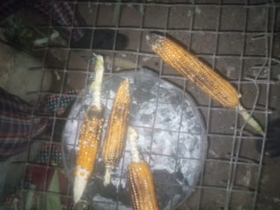 In Tundun Wada South, Nigeria, an outdoor scene depicts several ears of corn being grilled on a metal grate over what appears to be embers or coals. Four cobs of corn are clearly visible on the grate, with a fifth partially obscured. The corn is golden yellow, and some kernels show signs of charring. Beneath the grate, a circular object, possibly a pot lid or pan, is covered in ash. The background is dimly lit, with glimpses of patterned fabric and dark, earthy ground. The image captures a moment of food preparation in a rustic setting.