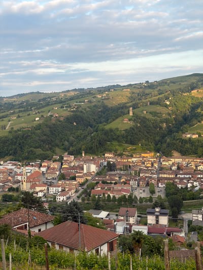 The image depicts a panoramic view of Santo Stefano Belbo, Italy, with a landscape dominated by vineyards and forested hillsides. The town is characterized by closely packed buildings with red-tiled roofs, interspersed with streets and occasional green spaces. The sky is partially covered by clouds.