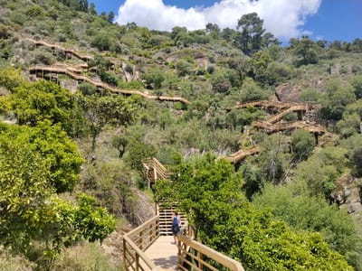 A wide-angle shot shows the wooden boardwalk in the city of Alijó, Portugal. The boardwalk zigzags up a green, steep hillside. At the end of the boardwalk, a person with a blue shirt and backpack is visible. The boardwalk is surrounded by trees and vegetation. The sky is blue with white clouds.