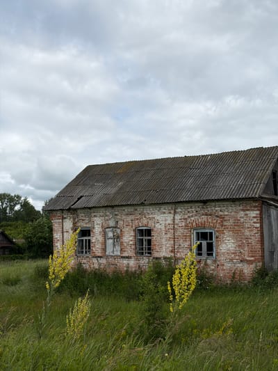 An abandoned brick building stands in a field of tall green grass under a cloudy sky. The building has a corrugated metal roof with a visible tear. The brickwork is weathered and shows signs of age. Several windows are broken or boarded up. Yellow wildflowers grow in front of the building. In the background, trees and another structure are visible. The scene appears to be in a rural area, possibly the village of Bogdashkino, Russia.