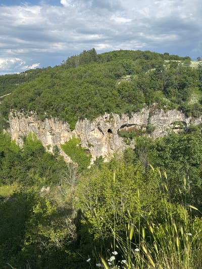 The image depicts a forested hillside in Emen, Bulgaria, featuring a prominent limestone cliff face with various caves and rocky outcroppings. Green vegetation, including trees, bushes, and vines, densely covers the hillside and the edge of the cliff. There is grass and wildflowers visible in the foreground of the image. The sky is visible at the left and features clouds.