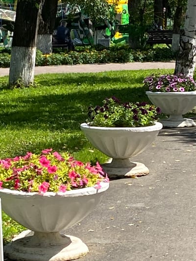 A person sits on a bench in a park. The person is wearing a dark shirt and dark pants. The bench is made of wood and is painted dark brown. The park is decorated with several large, white planters filled with flowers. The planters are arranged in a line. The flowers are pink and purple. In the background, there are trees and bushes. The ground is covered with grass and a paved walkway. The sky is blue with some clouds. The image was taken on a sunny day. The park appears to be well-maintained and is a pleasant place to spend time outdoors.