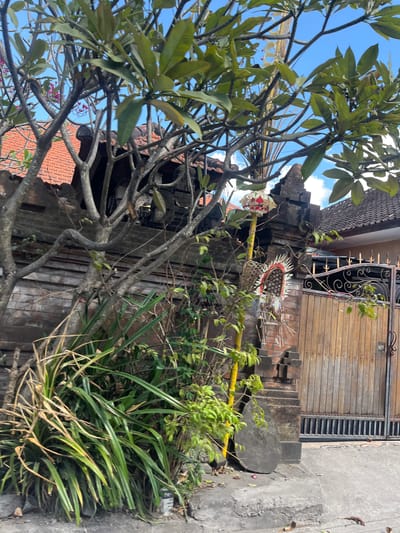 The image shows an outdoor scene in front of a gate in Denpasar Barat, Indonesia. A large tree with green leaves and some pink flowers dominates the left side of the frame, its branches extending over a brick wall. In front of the wall, there is dense green foliage. To the right of the tree and wall, there is a decorative structure with a yellow pole, topped with a colorful paper lantern. Next to this structure is a wooden gate with metal embellishments. The gate is flanked by a brick gatepost. The ground in front of the gate appears to be a paved sidewalk or road. The sky above is blue with some scattered white clouds.