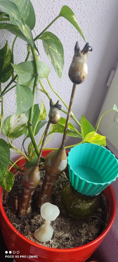The scene depicts a potted plant and various decorative objects, located within Constance, Germany. A large, circular, glossy red ceramic pot occupies the lower portion of the image. Within the pot, dark soil supports a Pothos plant (Epipremnum aureum), characterized by its variegated green and light yellow leaves, with several stems visible, some secured by thin, dark wires. Embedded in the soil are two slender, stylized giraffe-shaped plant stakes of differing heights; each features a brown, spotted lower section and a small, rounded head with dark ears. To the left of the giraffe stakes, a small, translucent white, glossy figurine resembling a mushroom or toadstool is partially embedded in the soil. To the right, a dark green, patterned glass bottle or vase is partially submerged in the soil, topped by an empty, ribbed, turquoise silicone cup. The background consists of a light-colored, textured wall. No individuals are present in the image.