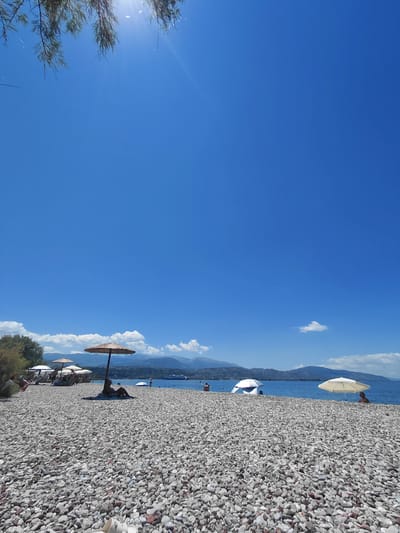 The image depicts a sunny day at a pebble beach, likely in the Municipal Unit of Aegio, Greece, given the presence of mountainous terrain in the background and the blue sea. In the foreground, a vast expanse of grey and white pebbles covers the beach. Scattered across the pebbles are several beach umbrellas, providing shade. One large thatched umbrella stands prominently, with a person seated underneath it. Other smaller white and yellow umbrellas are visible further down the beach. A few individuals are present, some appearing to be sunbathing or relaxing under the umbrellas, while others are near the water's edge. The sea is a clear blue, with distant mountains forming the horizon. The sky is a vibrant, cloudless blue, with the sun shining brightly, casting lens flares and a slight glare. Vegetation, including some branches with leaves, is visible in the upper left corner of the frame. The scene evokes a peaceful and summery atmosphere.
