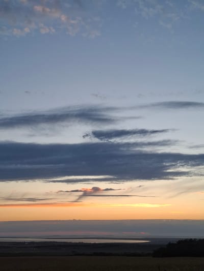 The image depicts a landscape scene, likely at dusk or dawn, given the warm, gradient colors of the sky. The sky is a prominent subject, featuring a range of hues from a soft, pale blue on the left, transitioning through wispy gray clouds, to a vibrant, fiery orange and yellow closer to the horizon on the right. These colors suggest a sunset or sunrise.

The scene appears to be an outdoor environment, possibly near a body of water given the smooth, reflective surface visible in the distance. A dark, silhouetted treeline runs along the far right edge of the image, providing a sense of depth and context to the landscape. The overall atmosphere conveyed by the image is one of natural beauty and tranquility, with the soft light and muted colors creating a serene mood. There are no visible people or specific objects in the foreground, emphasizing the natural elements of the scene. The image is oriented vertically, and there is no visible text.