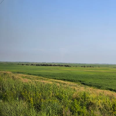The image depicts a wide, open landscape under a clear, pale blue sky. In the foreground, dense green and golden-brown grasses and vegetation grow on an incline. This slopes down to reveal vast, flat fields of vibrant green crops that stretch towards the horizon. Scattered across the fields are clusters of dark green trees, appearing as small islands in the sea of crops. The overall impression is one of agricultural land, possibly in a rural or steppe environment. The location is not specified in the image.