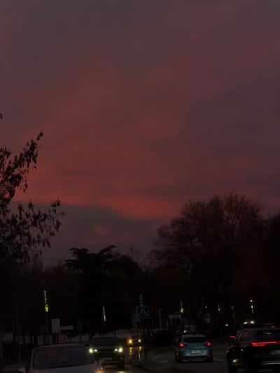 A street scene at dusk features silhouettes of trees against a pink and purple sky. On the right side of the image, a road with cars is visible. The car headlights and taillights create small points of light along the road. Street signs are also visible. The overall atmosphere is dark and atmospheric.