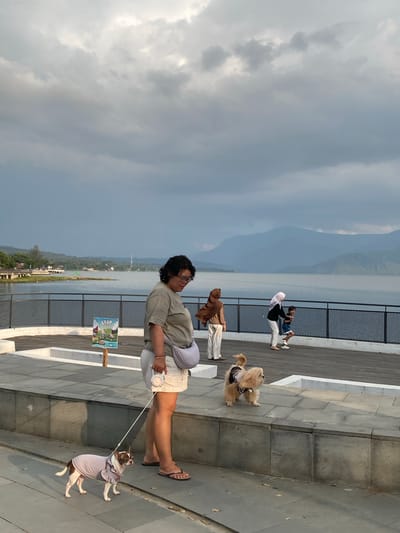 The image shows a waterfront promenade in Pasar Pangururan, Indonesia, with a large lake or sea in the background and a mountainous landscape under a cloudy sky. In the foreground, a woman wearing a light-colored t-shirt, white shorts, and flip-flops walks two dogs on leashes. One dog, a small chihuahua mix in a light purple outfit, is directly in front of her. Another, larger fluffy dog in a dark vest is positioned further ahead and to the right. Several other people are visible in the middle ground, near a railing overlooking the water. One woman in a brown hijab and light-colored pants stands to the left, while a woman in a white hijab and dark top interacts with a child to her right. A sign with the word "STOP" and images is posted on the left side of the promenade. The walkway is made of stone tiles, with elevated platforms and a dark metal railing along the water's edge. The overall atmosphere suggests a public recreational area.