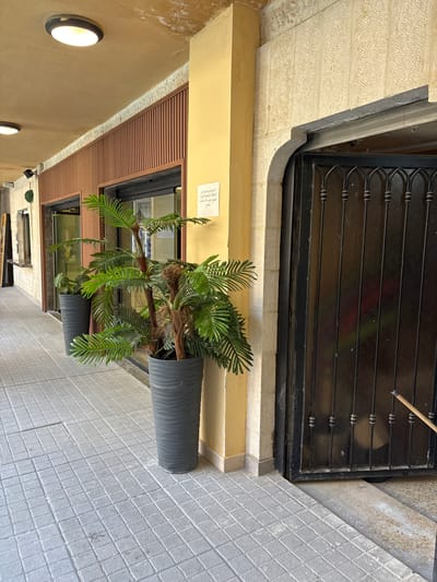 The image captures an exterior walkway with a tiled floor leading to a building entrance. To the left, a section of the building features vertical wooden paneling above a display window. Further left, a counter is visible. The walkway is adorned with two large, dark gray planters, each housing a potted plant; the one in the foreground is a bushy palm with multiple trunks. The building's facade transitions from a light yellow pillar on the right to a stone-clad wall surrounding an arched doorway. The doorway itself is fitted with a black metal gate. A white sign with Arabic text is affixed to the yellow pillar. Overhead, a textured ceiling with recessed lighting extends along the walkway. The overall scene depicts an outdoor area likely belonging to a commercial establishment in Ayn al Basha, Jordan, characterized by its architectural elements and decorative plants.