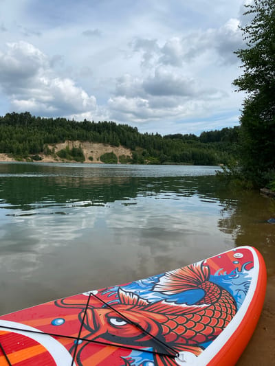 The image depicts a serene lake scene, likely near Алюмино Днт, Russia, on a cloudy day. In the foreground, the brightly colored tail and head of an orange koi fish adorn a red paddleboard resting on a sandy shore. The paddleboard is positioned at an angle, with its tip pointing towards the water. The lake itself reflects the overcast sky and the surrounding lush green trees that line the distant shore. A sandy embankment with sparse vegetation rises behind the trees, creating a textured backdrop. The water is calm, with gentle ripples disturbing the surface, and its color is a mix of green and brown, possibly due to the sandy bottom or dissolved minerals. The overall atmosphere is tranquil and natural, suggesting an ideal spot for recreational water activities.