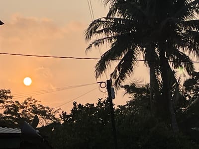 The image captures a sunset scene in Tambakreja, Indonesia, featuring a silhouetted palm tree and vegetation against a warm-toned sky. The sun, a bright orb, is visible in the upper left quadrant. Power lines traverse the frame horizontally, and a utility pole with electrical equipment is situated to the right of center. In the foreground, the roof of a building is partially visible on the left. The overall ambiance is tranquil, with the fading light casting a warm glow over the landscape.