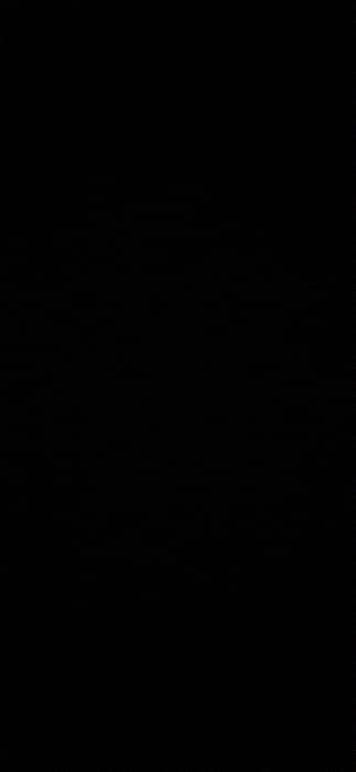 The image is completely black, lacking any discernible features or details. It presents a uniform, dark surface without variations in texture or light. There are no visible objects, shapes, or gradients; the image is characterized by its absence of visual information.