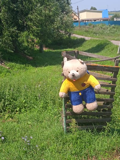 A worn, light brown stuffed teddy bear is perched on a rustic wooden fence in the grassy village of Kama-Ismagilovo, Russia. The bear is dressed in a bright yellow shirt with a red circular emblem and blue shorts. Its tongue is sticking out, and one of its legs appears slightly bent. The fence is made of weathered, horizontal wooden planks supported by vertical posts, and it appears to be part of a rural enclosure or structure. The background is filled with lush green grass, dotted with small wildflowers. Beyond the fence, a dirt path winds through the landscape, leading towards a cluster of buildings under a clear blue sky. Trees with dense green foliage are visible to the left of the frame, suggesting a rural or semi-rural setting. The scene is illuminated by bright sunlight, casting shadows on the grass and fence.
