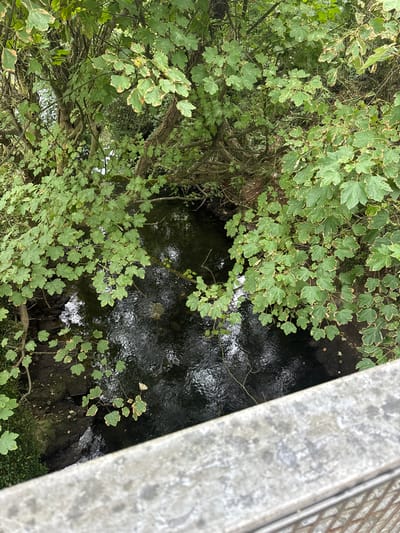 An overhead shot looks down on a narrow, dark, flowing stream, partially obscured by overhanging green foliage with some leaves showing yellowing edges. The stream bed appears to be rocky and uneven. In the foreground, the rough, grey, concrete surface of a bridge railing or wall runs diagonally across the frame, with a hint of a metal railing below it. The scene suggests a natural area within or bordering the town of Courtown, Ireland.