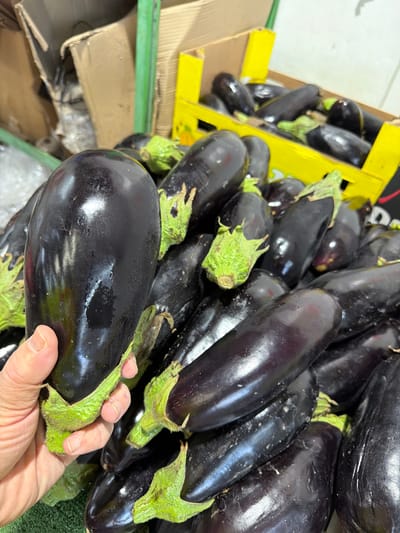A hand holds a dark purple eggplant in what appears to be a grocery store or produce section, likely in Kadima-Zoran, Israel. The eggplant has a green stem and is surrounded by numerous other eggplants of similar size and color. The eggplants are contained within what seems to be a display area constructed from cardboard and yellow plastic.