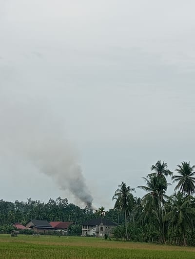 In Blanggurah, Indonesia, a plume of dark smoke billows into the overcast sky from a fire obscured by dense tropical foliage. The smoke rises from an area behind a cluster of residential buildings with red and dark-colored roofs, situated amidst lush greenery and tall palm trees. In the foreground, a green rice field stretches across the lower portion of the image. The scene appears to be a rural or semi-rural setting.
