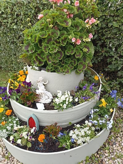This media file displays a decorative tiered planter filled with a variety of flowering plants and miniature garden elements, set against a backdrop of lush green foliage. The planter itself is a light gray, possibly concrete, structure with three distinct levels.
The top tier is dominated by a large plant with broad, green leaves featuring dark maroon markings and clusters of small pink flowers. Below this, the second tier showcases a delicate white figurine of a fairy or cherub, perched on a rocky base, with a white seashell to its side. This level is also adorned with a mix of small flowers in vibrant colors, including purple pansies and yellow marigolds.
The bottom tier features a miniature red arched doorway, suggesting a fairy garden theme. This level is populated with more small flowers such as white alyssum, orange marigolds, and more pansies in purple and white. Small succulents with reddish-green leaves are also present. The planting soil is dark and appears to be mixed with small blue decorative pellets. The planter is surrounded by small, light-colored gravel.
The scene is set outdoors, with a dense hedge of green leaves forming the background. The lighting suggests it is daytime, likely with overcast or diffused light, as there are no strong shadows. The overall impression is one of a charming, whimsical garden feature, possibly located in a residential garden. No text is visible in the image. The location context of Annagry, Ireland, suggests a potentially temperate climate.
