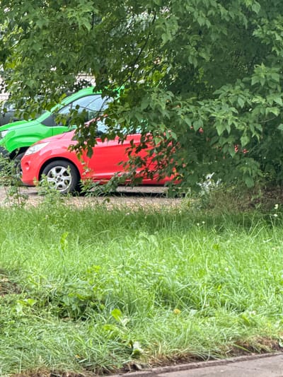 In Rudamina, Lithuania, this image captures a scene of two cars parked partially obscured by lush green foliage. The foreground is dominated by thick, untamed grass, suggesting an outdoor setting that is either unmaintained or naturally overgrown. Behind the grass, a bright red car is visible, its side profile showcasing its front wheel and part of the door. To its left, a vibrant green car is partially visible, its front section and the roofline peeking out from behind the red vehicle and dense leaves. The leaves and branches of a tree extend across the top and into the middle of the frame, creating a dappled effect and further camouflaging the vehicles. The ground appears to be a gravel or dirt surface. The overall impression is of a quiet, possibly residential area where vehicles are parked amidst abundant vegetation.
