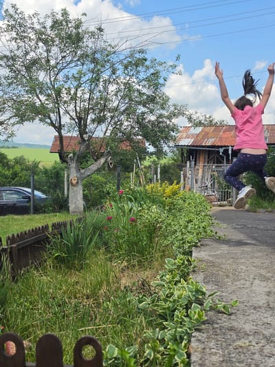 This outdoor image, captured in Gigintsi, Bulgaria, depicts a rural or semi-rural scene under clear daylight. A child is shown mid-jump on a concrete path in the right midground, viewed from the back. The child wears a short-sleeved pink shirt, dark blue leggings with lighter patterned motifs (possibly hearts or butterflies), and white athletic shoes. Their arms are raised above their head with open hands, and their dark hair, pulled into a ponytail, is elevated by the motion.
The foreground on the left features a dark wooden fence with rounded top sections and two visible circular cutouts. Behind the fence, green grass covers the ground. To the right, along the edge of the concrete path, a dense border of variegated groundcover with green leaves edged in light green or yellow foliage is present.
In the midground, to the left of the path, a prominent tree with a light-colored trunk and branches stands. A circular, face-like carving is visible on the trunk, and a wooden wheel is attached to a lower branch. Behind this tree, a dark grey sedan is partially visible through a metal chain-link fence. Further back and to the right of the tree, a small outbuilding with a rusted, corrugated metal roof is visible, with wooden planks stacked near its entrance.
In the background, on the left, a portion of a house with a reddish-brown tiled roof is discernible. The distant background features rolling green hills beneath a bright blue sky with scattered white cumulus clouds. Utility lines are visible stretching horizontally across the upper portion of the sky.