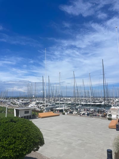 The image depicts a marina in Punta Ala, Italy, on a clear day with a blue sky and scattered white clouds. The foreground features a paved plaza with a large, manicured green bush on the left and two modern, orange wooden benches. To the right of the bush is a white structure with a screen, possibly an information display, and to the right of that, one of the orange benches.
The middle ground is dominated by a vast expanse of docked sailboats and yachts, their masts creating a dense forest of vertical lines against the sky. The boats are closely packed, indicating a busy marina. Some smaller vessels and piers are visible between the larger yachts.
In the background, a low-lying coastline with vegetation and buildings is faintly visible under the bright sky. The overall impression is one of a well-maintained and active nautical resort. There are no discernible people actively engaged in any specific actions within the frame.