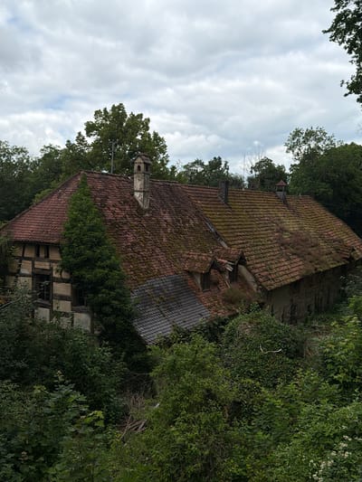 The image depicts a dilapidated, overgrown building, likely an old farmhouse or residential structure, nestled amidst dense greenery. The building features a red-tiled roof, partially covered in moss and with some sections showing damage or missing tiles. There are visible dormer windows on the roof and at least two chimneys. The facade of the building shows a traditional half-timbered construction style, with exposed wooden beams and infill panels. Ivy and other vegetation aggressively climb the walls and the roof, obscuring parts of the structure and contributing to the overall impression of abandonment and decay. The surrounding environment is a thick forest or dense garden, with abundant trees and shrubs obscuring the base of the building and the ground. The sky is overcast with grey clouds. The image does not show any people, animals, or signs of recent activity. The specific location in Heiligenstadt i. OFr., Germany, is not visually identifiable from the image itself, but the architectural style suggests a European setting.