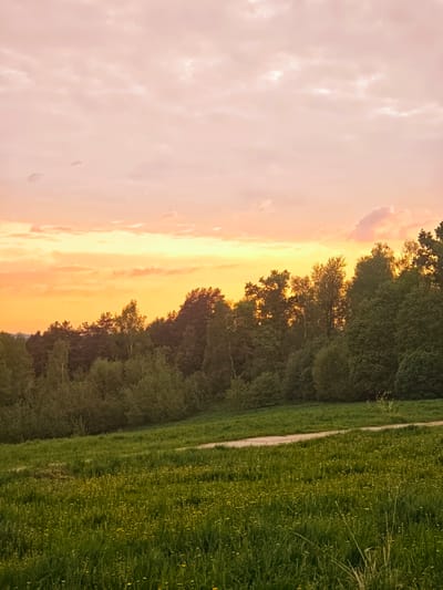 The image shows a landscape in Ильинское, Russia at sunset. A field of green grass, populated with dandelions, slopes gently upwards towards a line of trees. The trees are a mix of deciduous and coniferous types. The sky is filled with orange and pink hues. A path can be seen running across the green field.