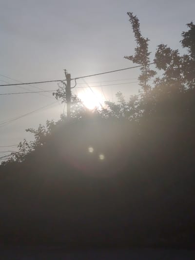 The image depicts a hazy, sunlit outdoor scene, likely in Oseshchyna, Ukraine, with a power pole prominently featured. The sun is intensely bright, creating lens flare and obscuring details, but it appears to be low in the sky, possibly near sunrise or sunset. The power pole, situated to the left of the frame, is adorned with numerous wires and some leafy vines or branches. Two faint, bright circular shapes, possibly reflections or lens artifacts, are visible in the hazy area below the sun. Silhouetted trees and foliage dominate the right side and foreground of the image, obscuring the ground and any potential human presence. The overall atmosphere is diffused and soft due to the bright sunlight and haze.