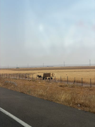 The image depicts a rural scene likely located near Nzalat Laadam, Morocco, though specific landmarks are not visible. A desolate, agricultural field, primarily brown and dry, occupies the majority of the view. A fence line stretches along the edge of the field, adjacent to an asphalt road with a painted white line marking the edge. In the distance, power transmission towers are visible. In the middle ground, a hay bale sits on a small cart drawn by what appears to be one or two donkeys. The sky is overcast with a hazy, diffused light.
