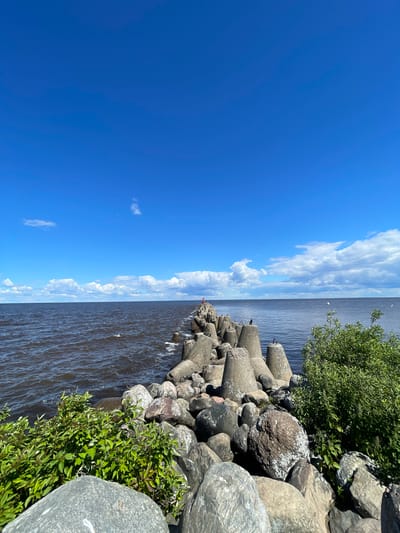 A breakwater made of concrete tetrapods and large rocks extends into a dark, choppy body of water under a bright blue sky with scattered white clouds. Green bushes and foliage grow amongst the rocks in the foreground on the right and left sides of the image. The breakwater is lined with rows of concrete tetrapods and appears to be leading towards a small red structure visible in the distance at the end of the breakwater. A faint horizon line separates the water from the sky. This scene is located in Belozersk, Russia, on the shores of Lake Beloye.