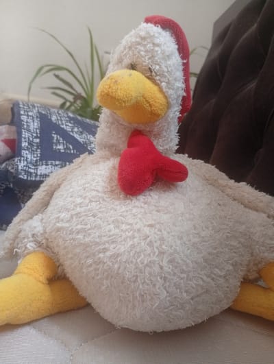 A close-up, low-angle shot shows a stuffed chicken toy, predominantly white with yellow feet and beak, and a red wattle and hat. The toy is positioned on a beige, quilted surface. In the background, a patterned blue and white fabric is visible, as is a dark brown cushioned surface. A thin-leaved green plant is also present in the background, to the left of the toy. The setting appears to be indoors, possibly a domestic environment. The image does not contain information pertaining to the city of Novopokrovka, Kyrgyzstan.