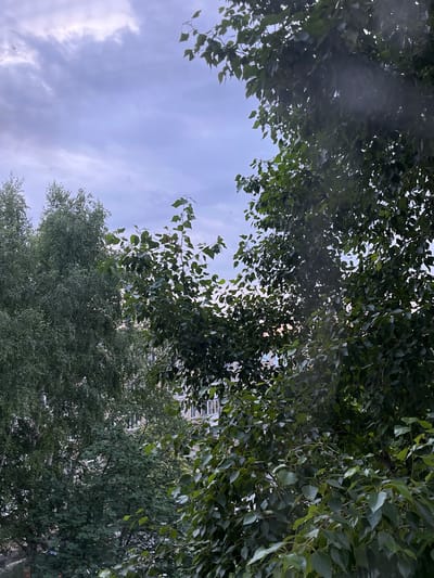 The image shows a view through trees towards apartment buildings in Linyovo, Russia. The sky is overcast with clouds, and there are a few small birds visible in the sky. The foreground is dominated by lush green foliage from trees, obscuring parts of the apartment buildings in the background. The buildings appear to be multi-story residential structures with windows. The overall scene suggests a residential area with mature trees providing a natural element within the urban environment.